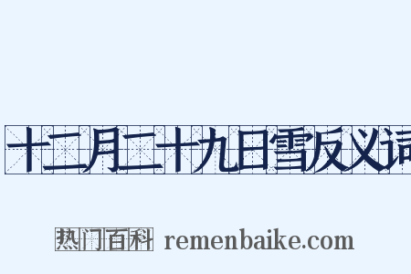 十二月二十九日雪反义词是什么意思的图片